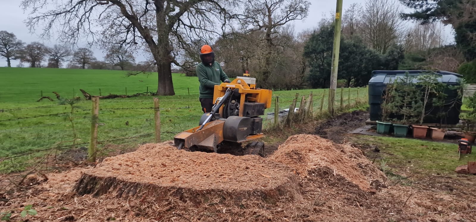 Tree stump removal service in Aylesbury with stump grinder